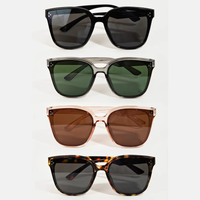 Neutral Wayfarer Sunglasses